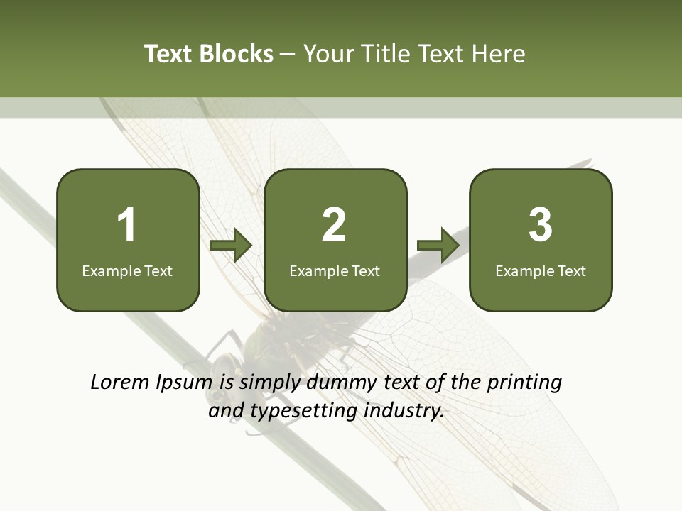 Shot Anax People PowerPoint Template