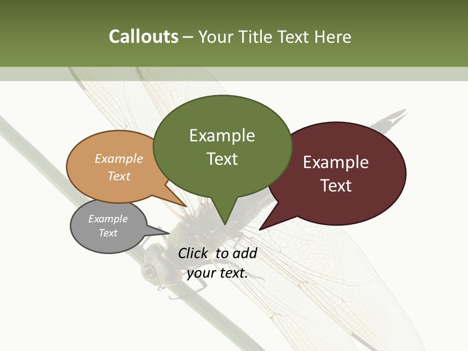 Shot Anax People PowerPoint Template