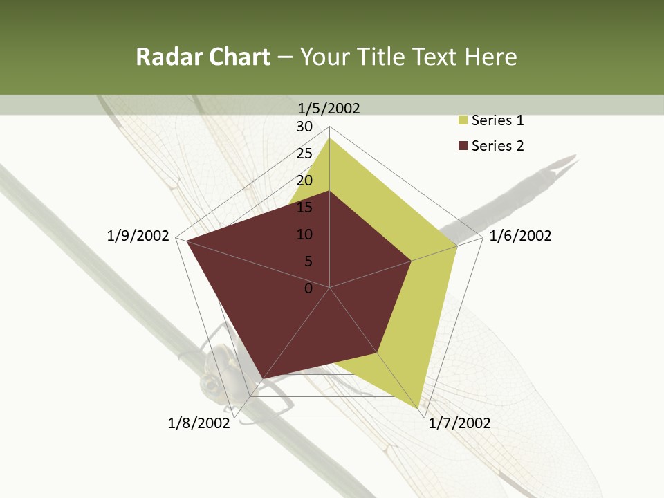 Shot Anax People PowerPoint Template