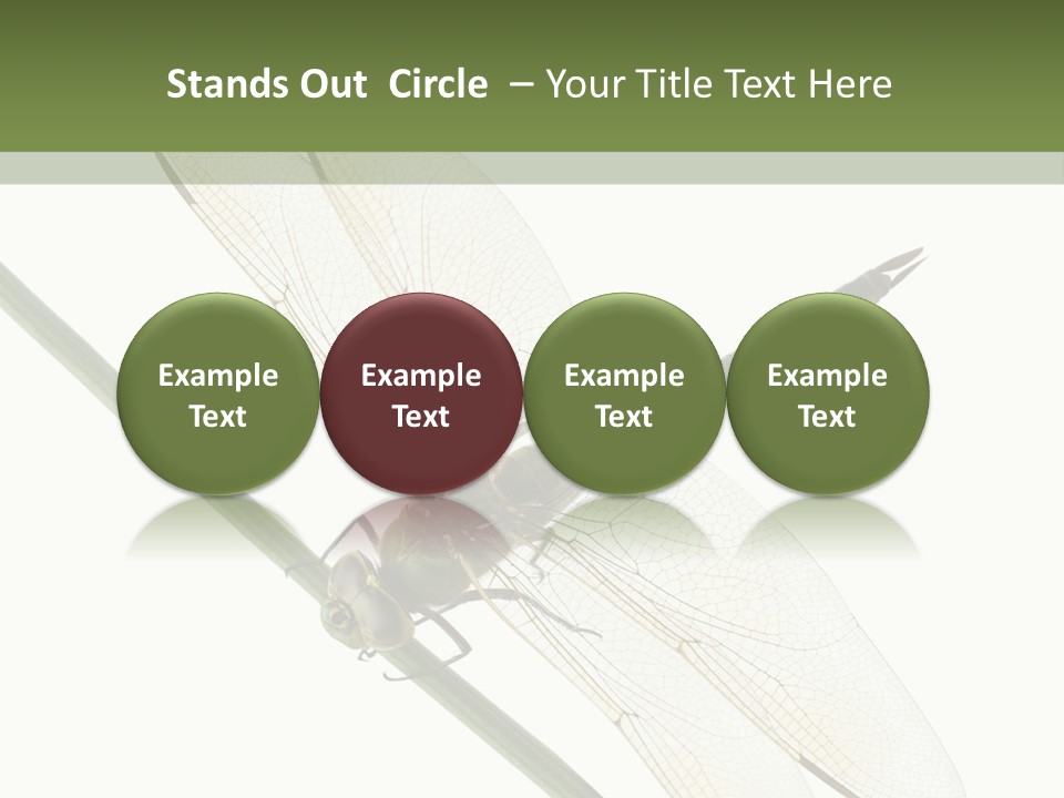 Shot Anax People PowerPoint Template