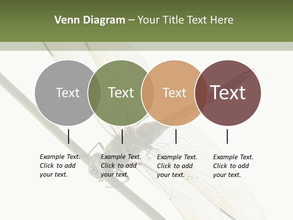 Shot Anax People PowerPoint Template