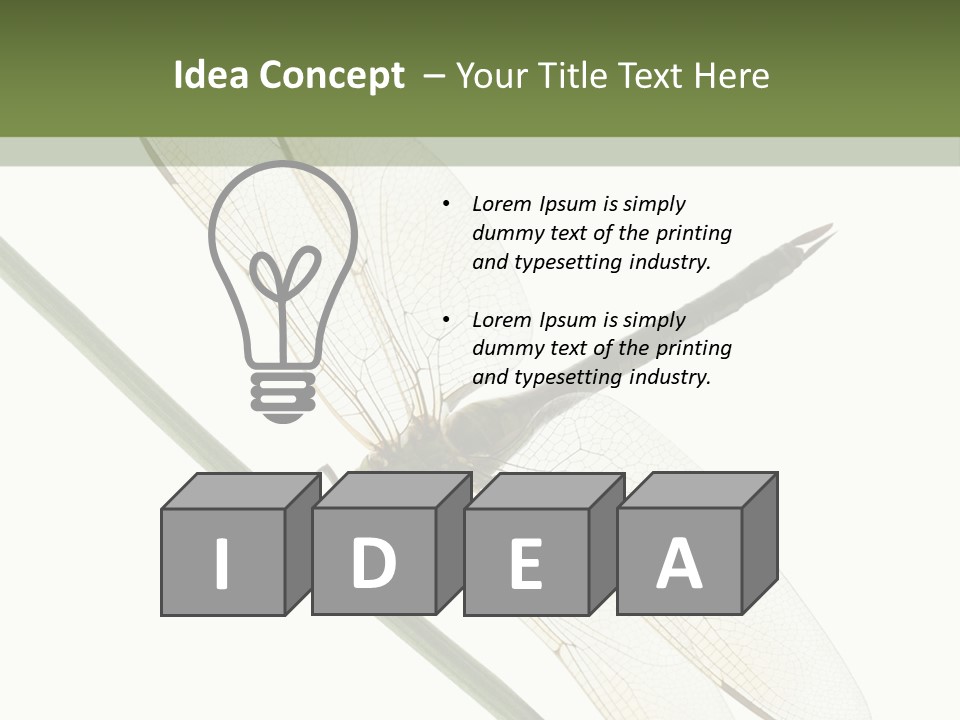 Shot Anax People PowerPoint Template