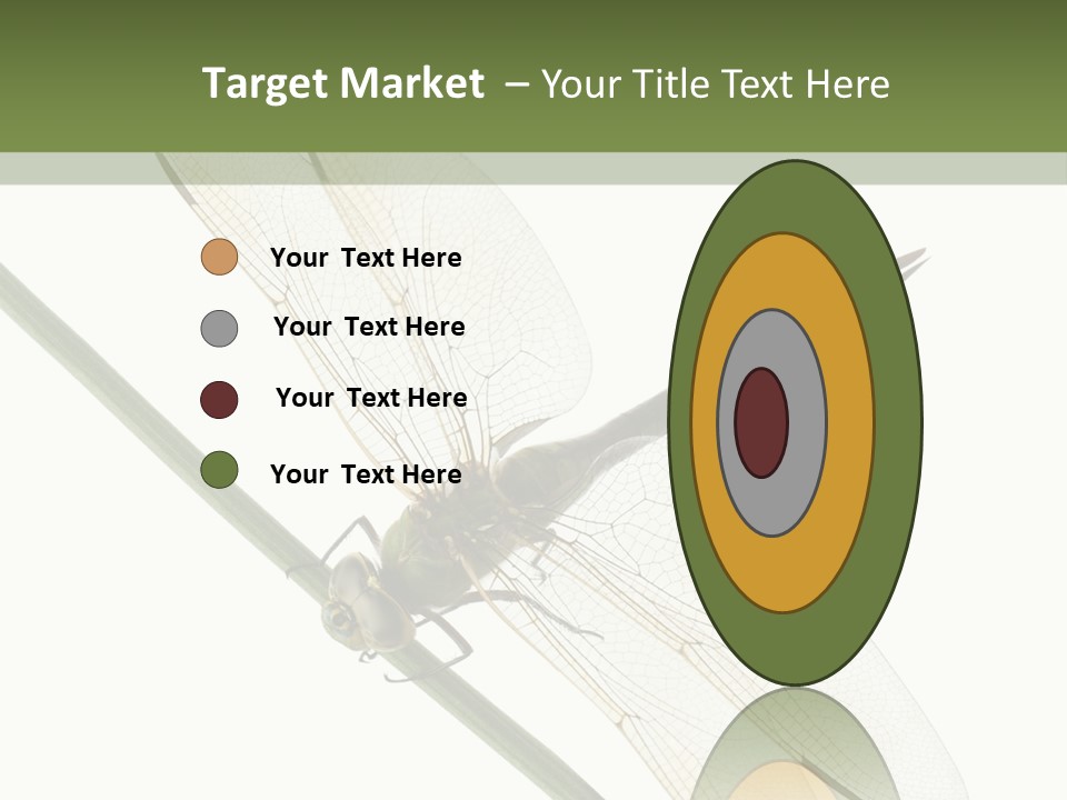 Shot Anax People PowerPoint Template