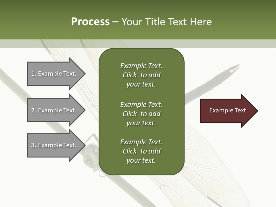 Shot Anax People PowerPoint Template