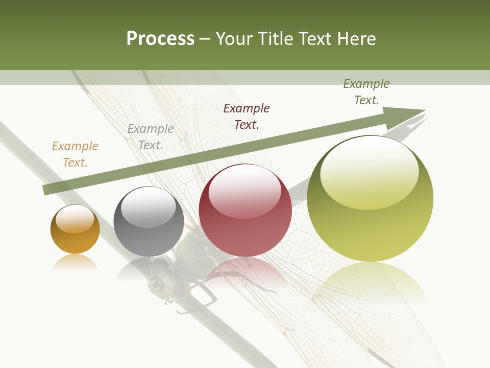 Shot Anax People PowerPoint Template