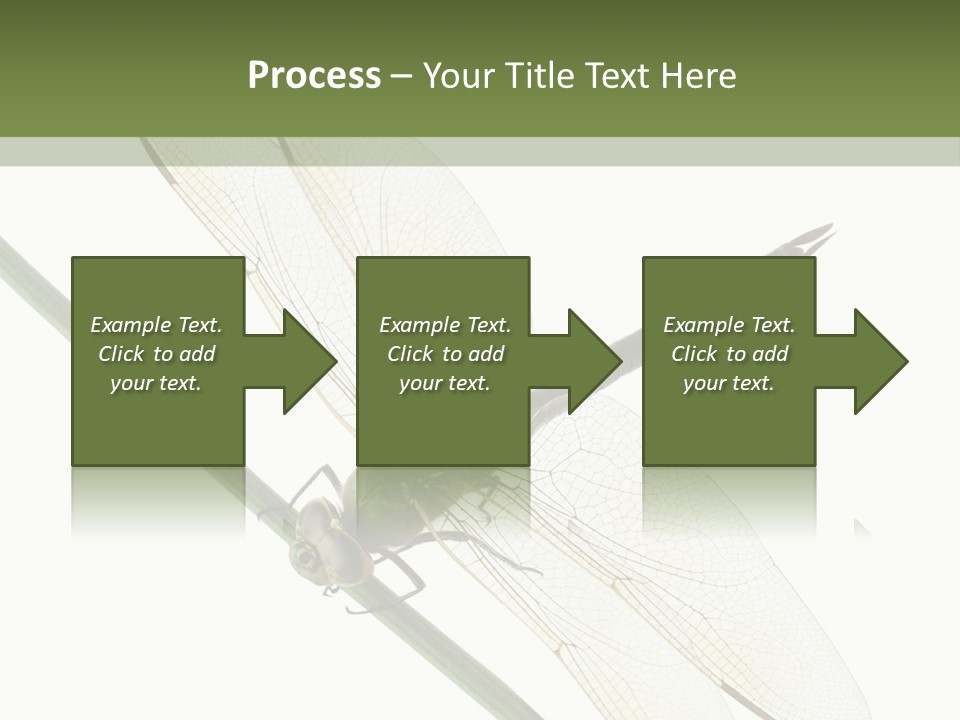 Shot Anax People PowerPoint Template
