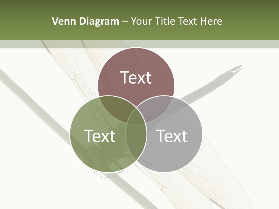 Shot Anax People PowerPoint Template