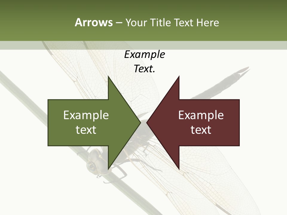 Shot Anax People PowerPoint Template