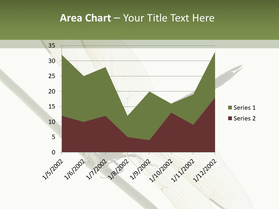 Shot Anax People PowerPoint Template