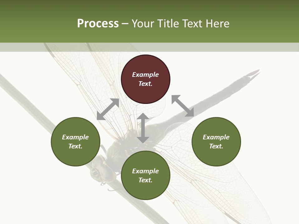 Shot Anax People PowerPoint Template