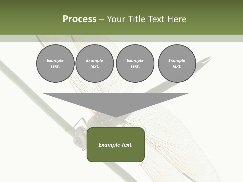 Shot Anax People PowerPoint Template