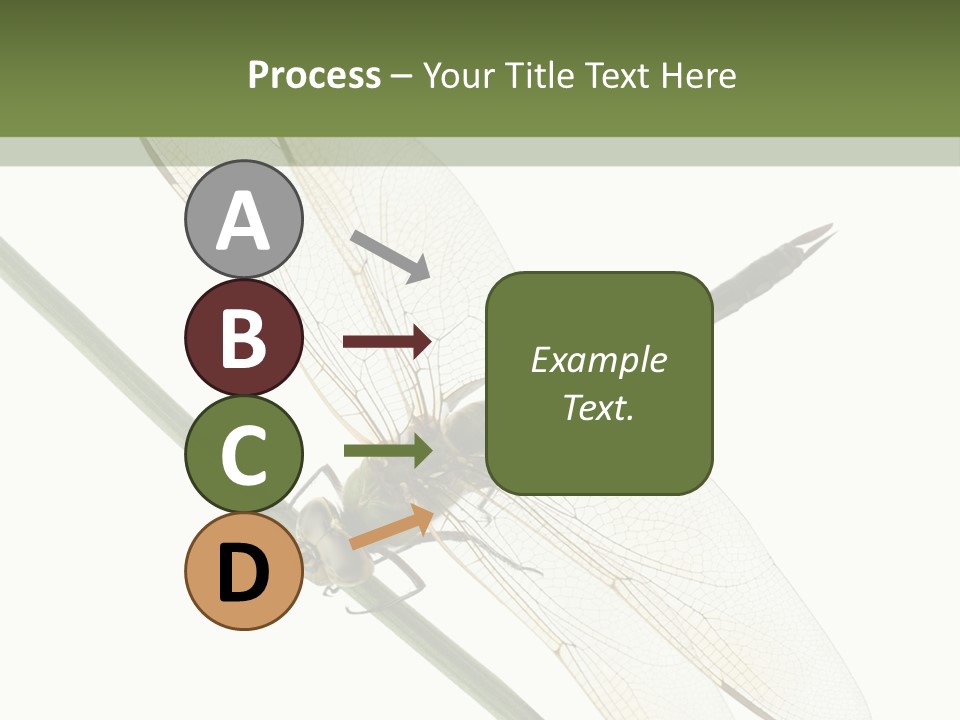 Shot Anax People PowerPoint Template