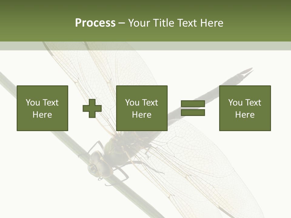 Shot Anax People PowerPoint Template