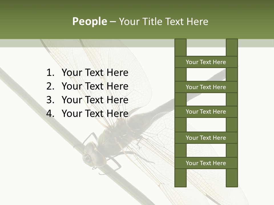 Shot Anax People PowerPoint Template