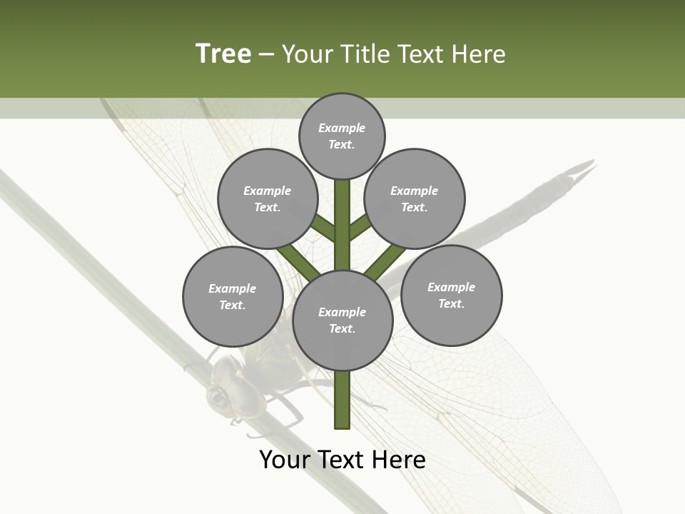 Shot Anax People PowerPoint Template