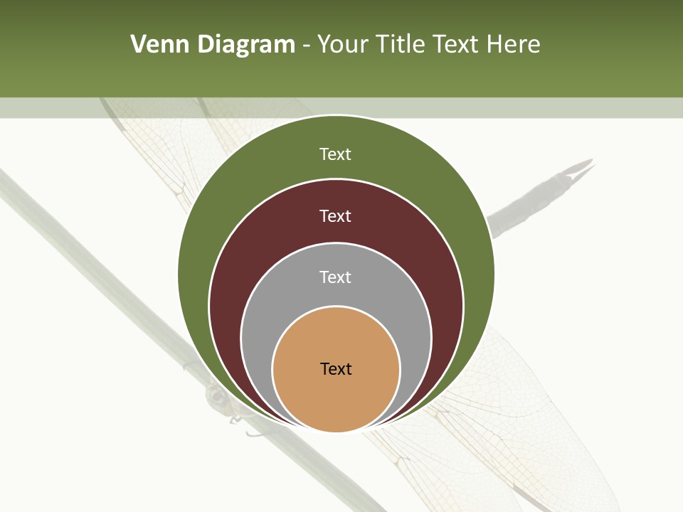 Shot Anax People PowerPoint Template