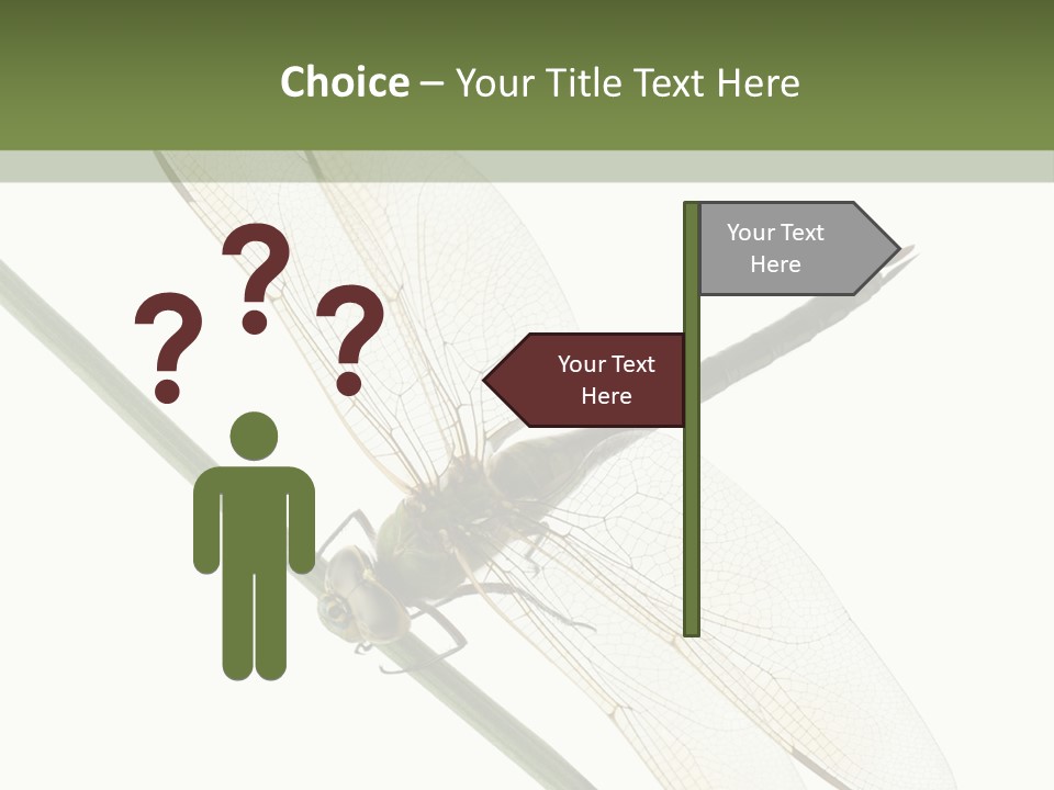 Shot Anax People PowerPoint Template