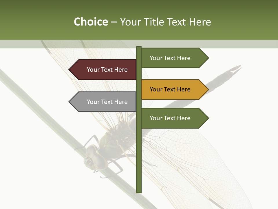 Shot Anax People PowerPoint Template