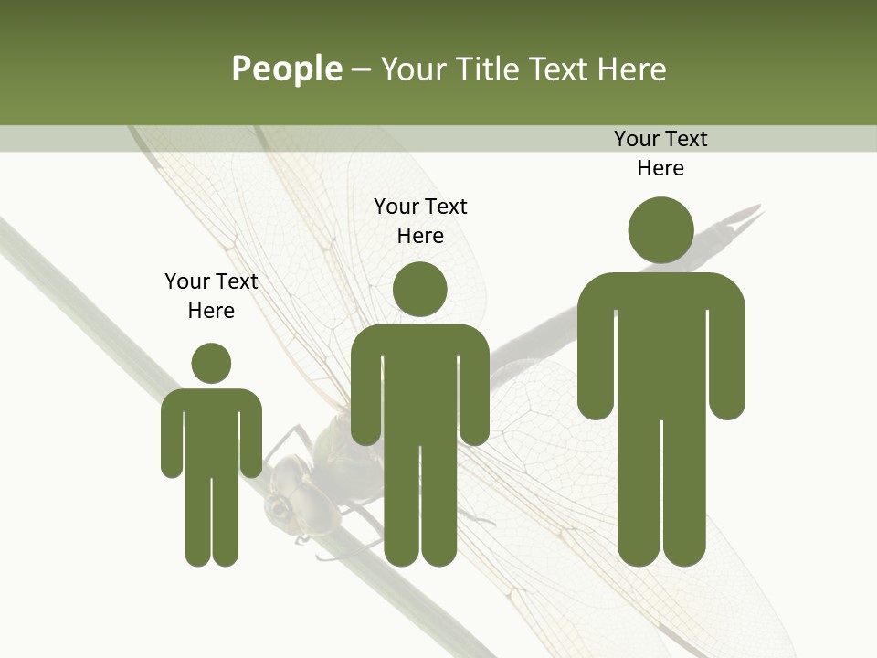 Shot Anax People PowerPoint Template