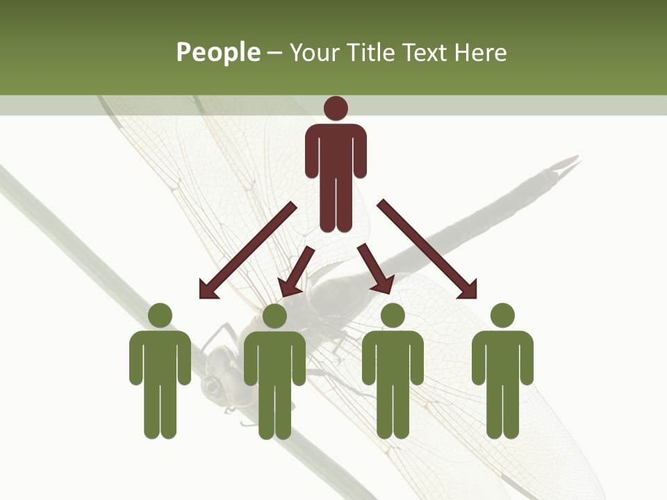 Shot Anax People PowerPoint Template