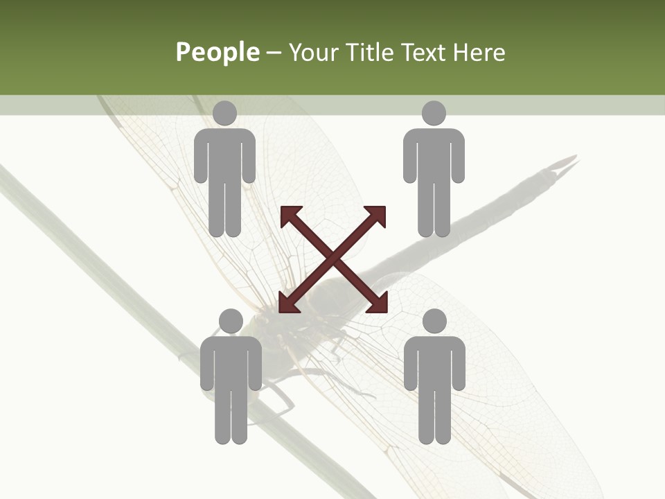 Shot Anax People PowerPoint Template