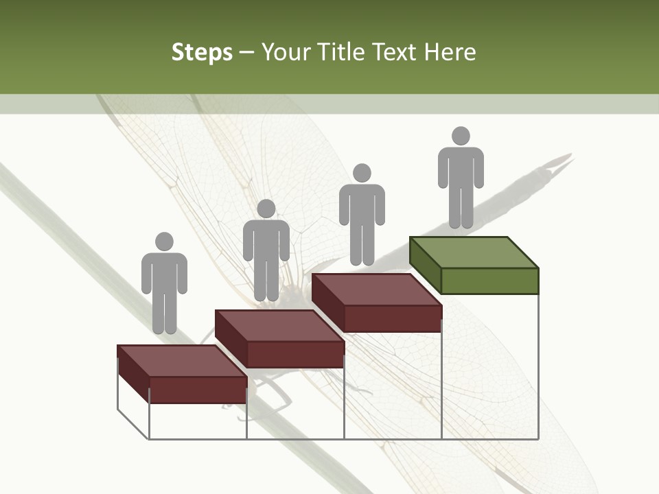 Shot Anax People PowerPoint Template