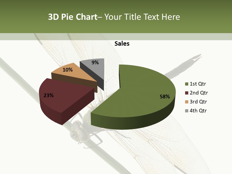 Shot Anax People PowerPoint Template