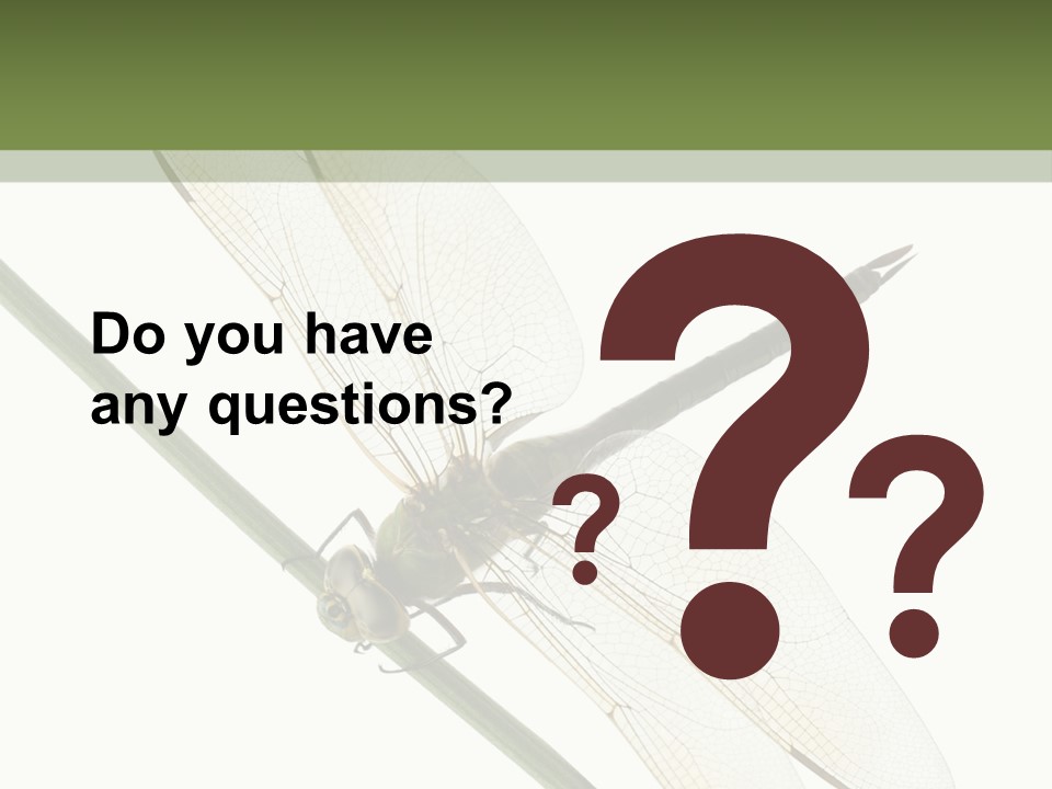 Shot Anax People PowerPoint Template