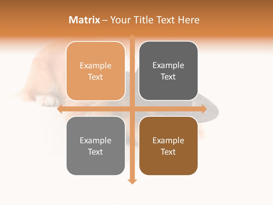 Body Care Day PowerPoint Template