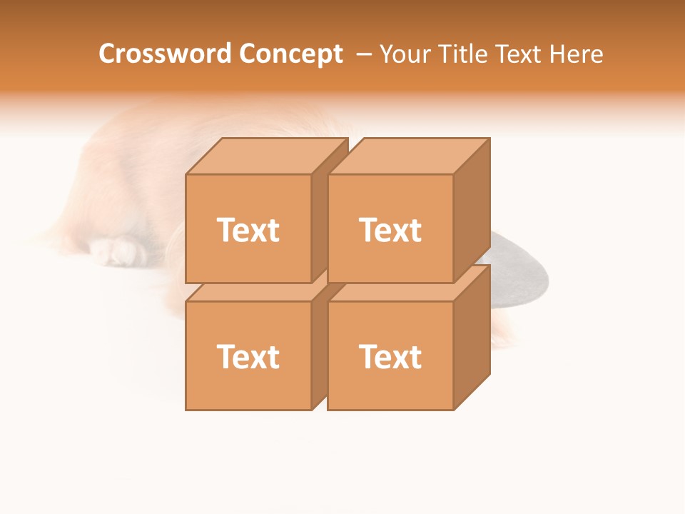 Body Care Day PowerPoint Template