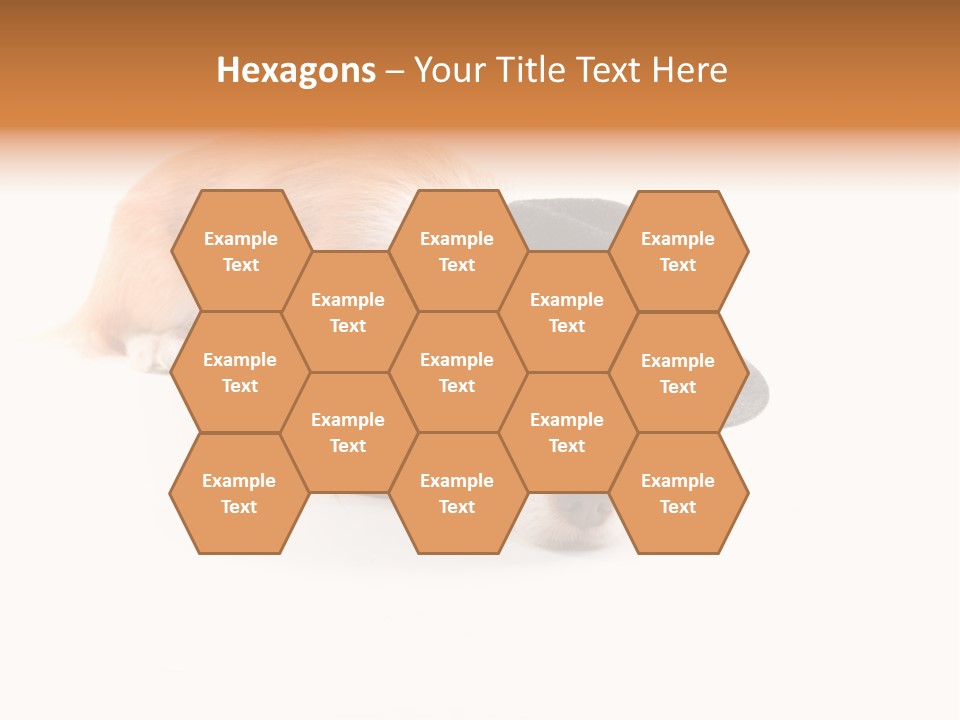 Body Care Day PowerPoint Template