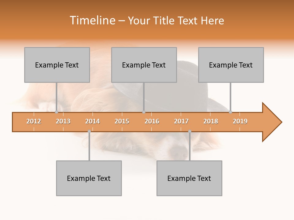 Body Care Day PowerPoint Template
