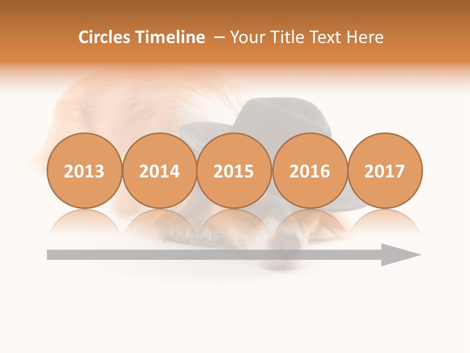 Body Care Day PowerPoint Template