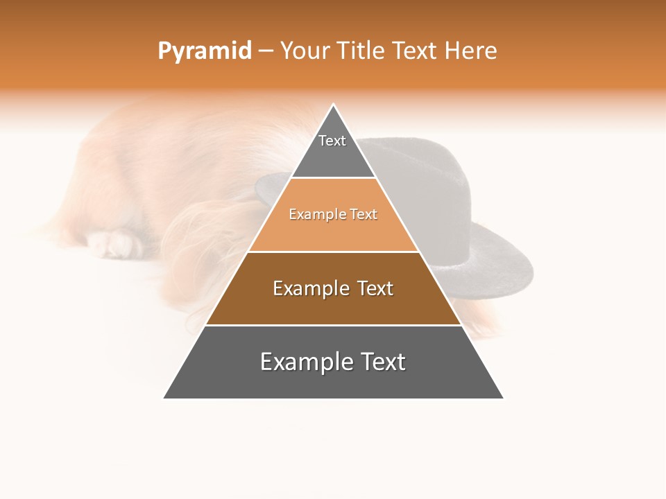 Body Care Day PowerPoint Template