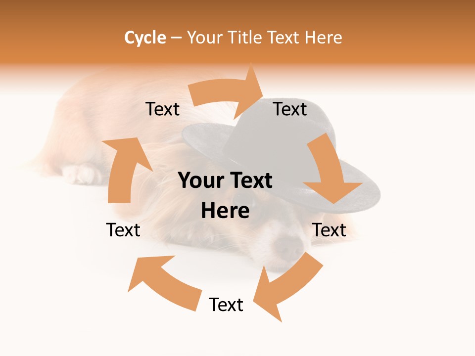 Body Care Day PowerPoint Template