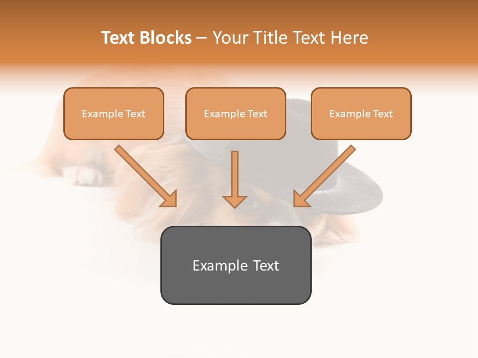 Body Care Day PowerPoint Template