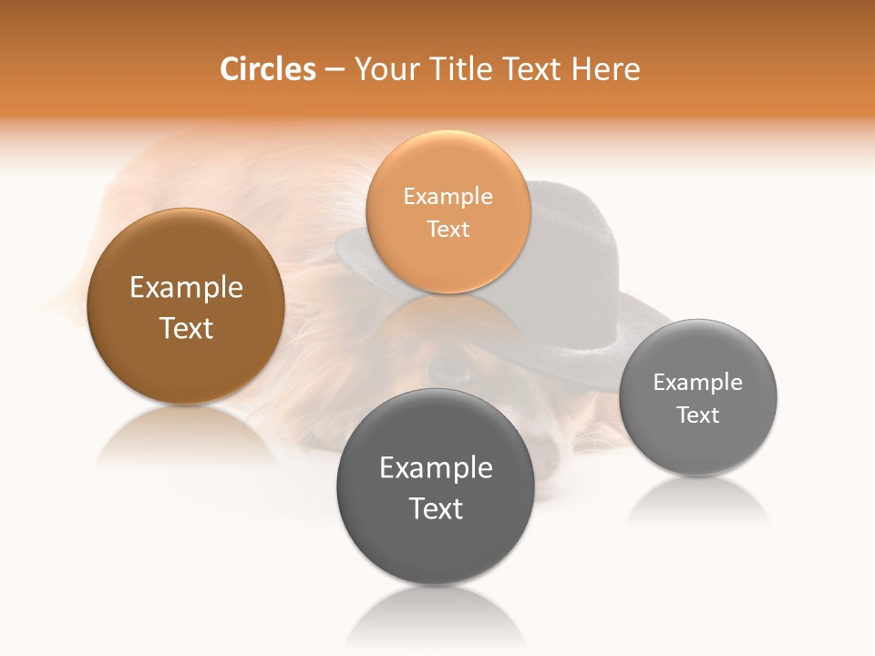 Body Care Day PowerPoint Template