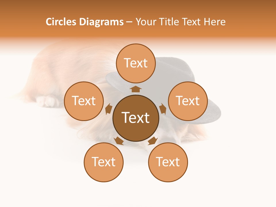 Body Care Day PowerPoint Template