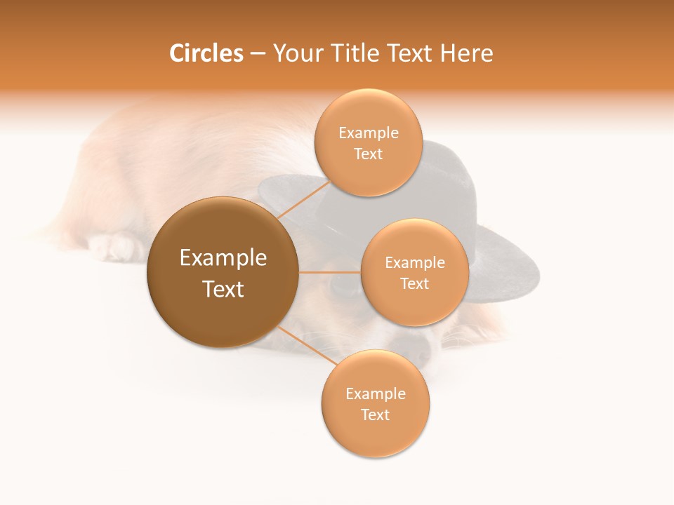 Body Care Day PowerPoint Template