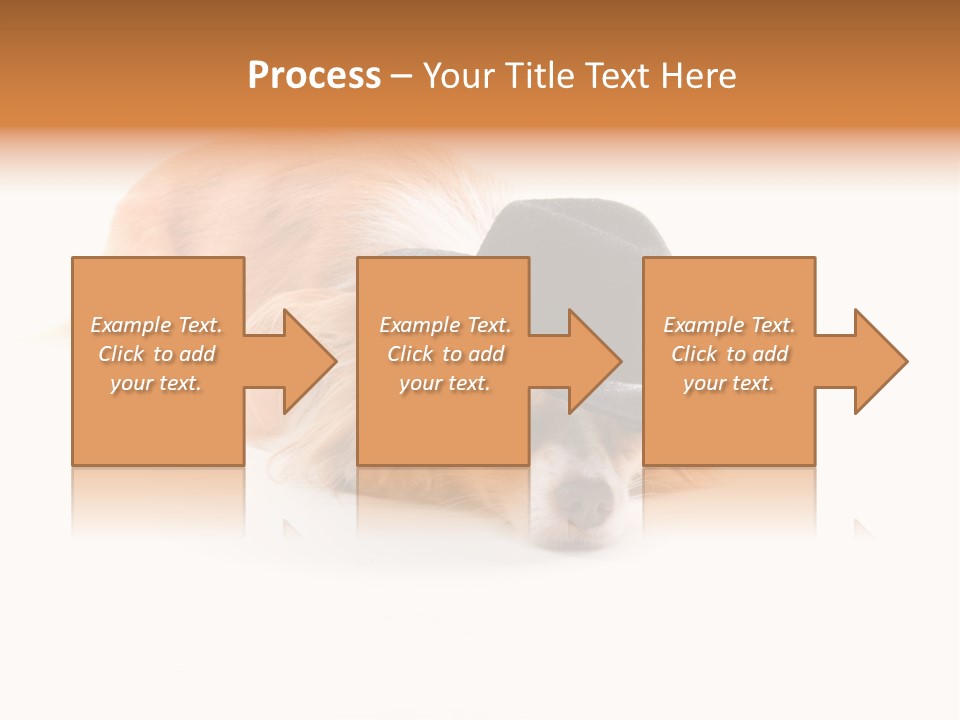 Body Care Day PowerPoint Template