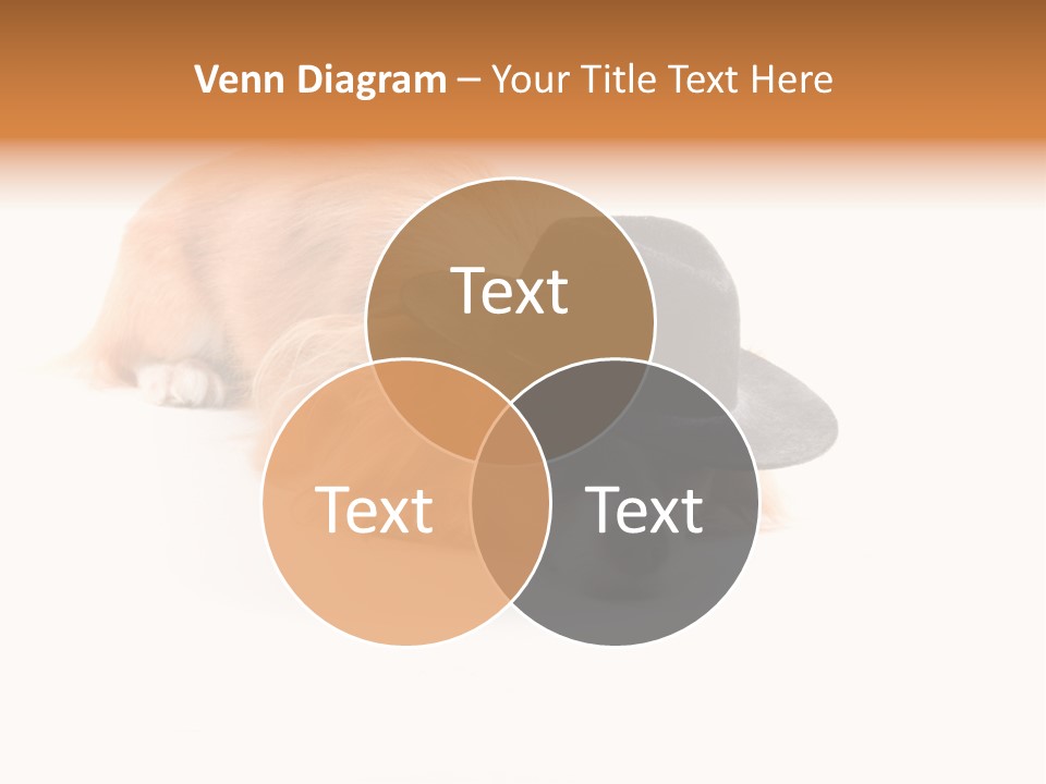 Body Care Day PowerPoint Template