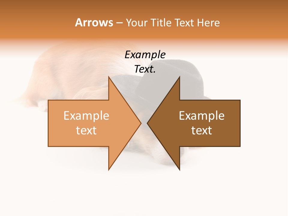 Body Care Day PowerPoint Template