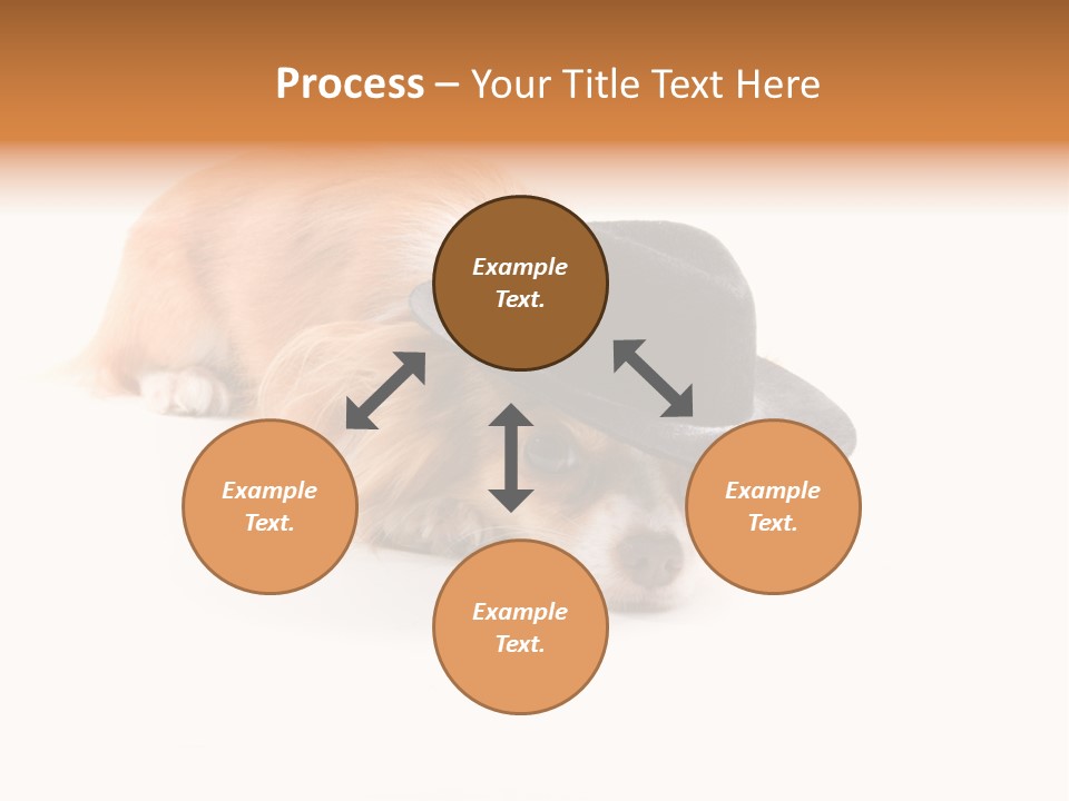 Body Care Day PowerPoint Template