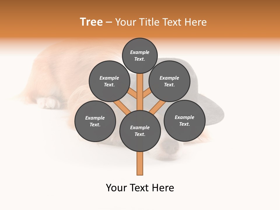 Body Care Day PowerPoint Template