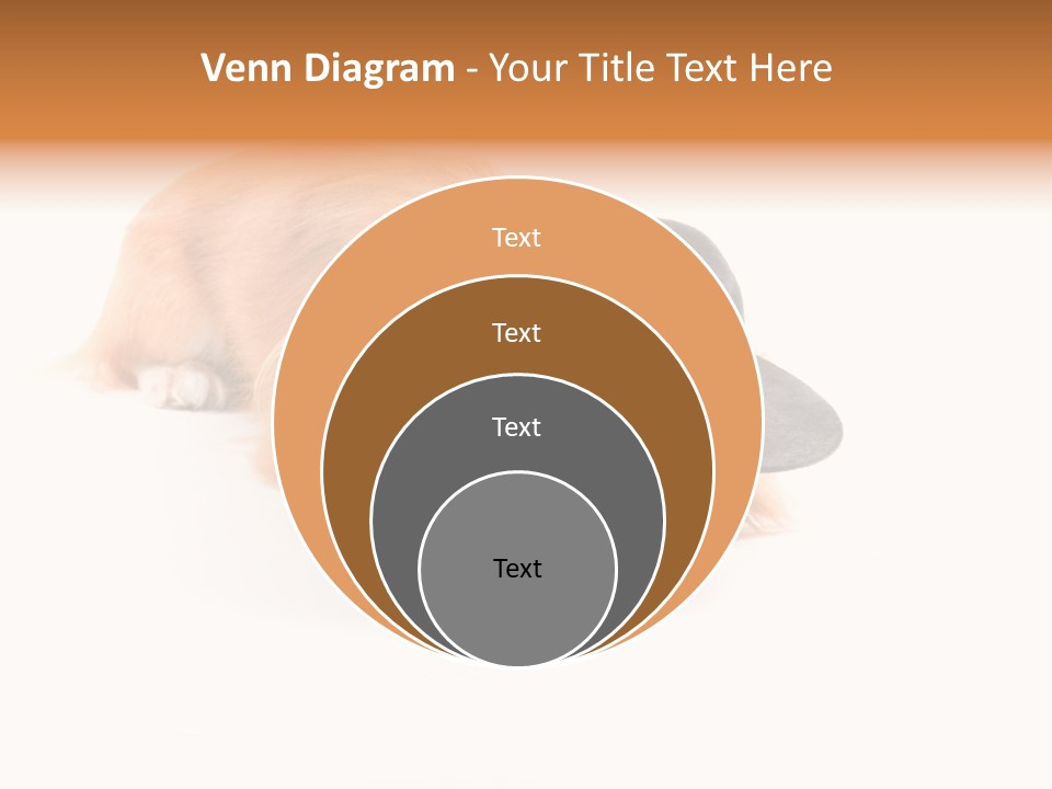 Body Care Day PowerPoint Template