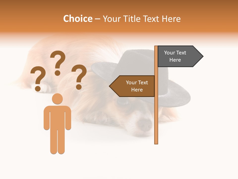 Body Care Day PowerPoint Template