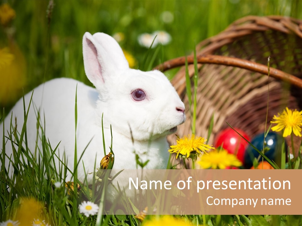 Easter Bunny Holiday Dandelions PowerPoint Template