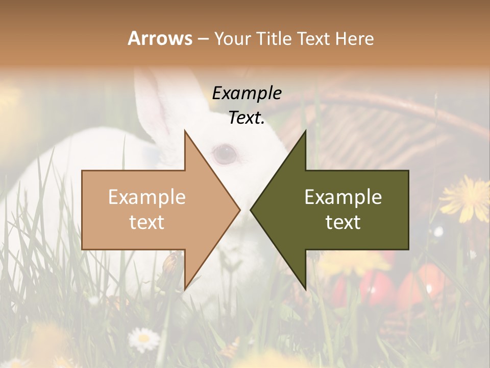 Easter Bunny Holiday Dandelions PowerPoint Template