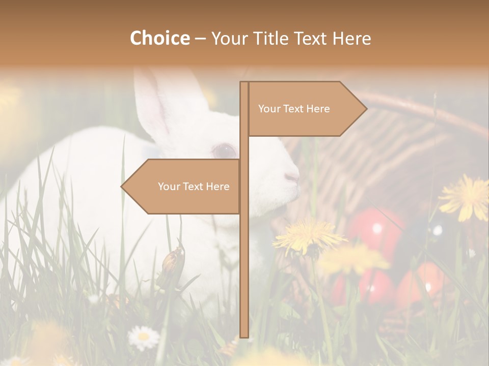Easter Bunny Holiday Dandelions PowerPoint Template