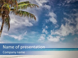 Paradise Palm Wallpaper PowerPoint Template